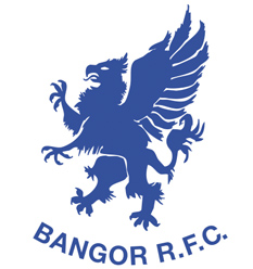 BRFC Logo BRFC Logo